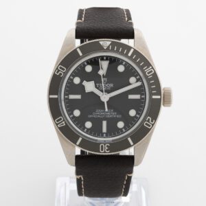 Tudor Black Bay 58 925 Silver 79010SG